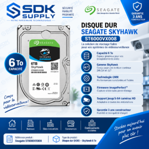 Seagate ST6000VX008 SkyHawk 6To